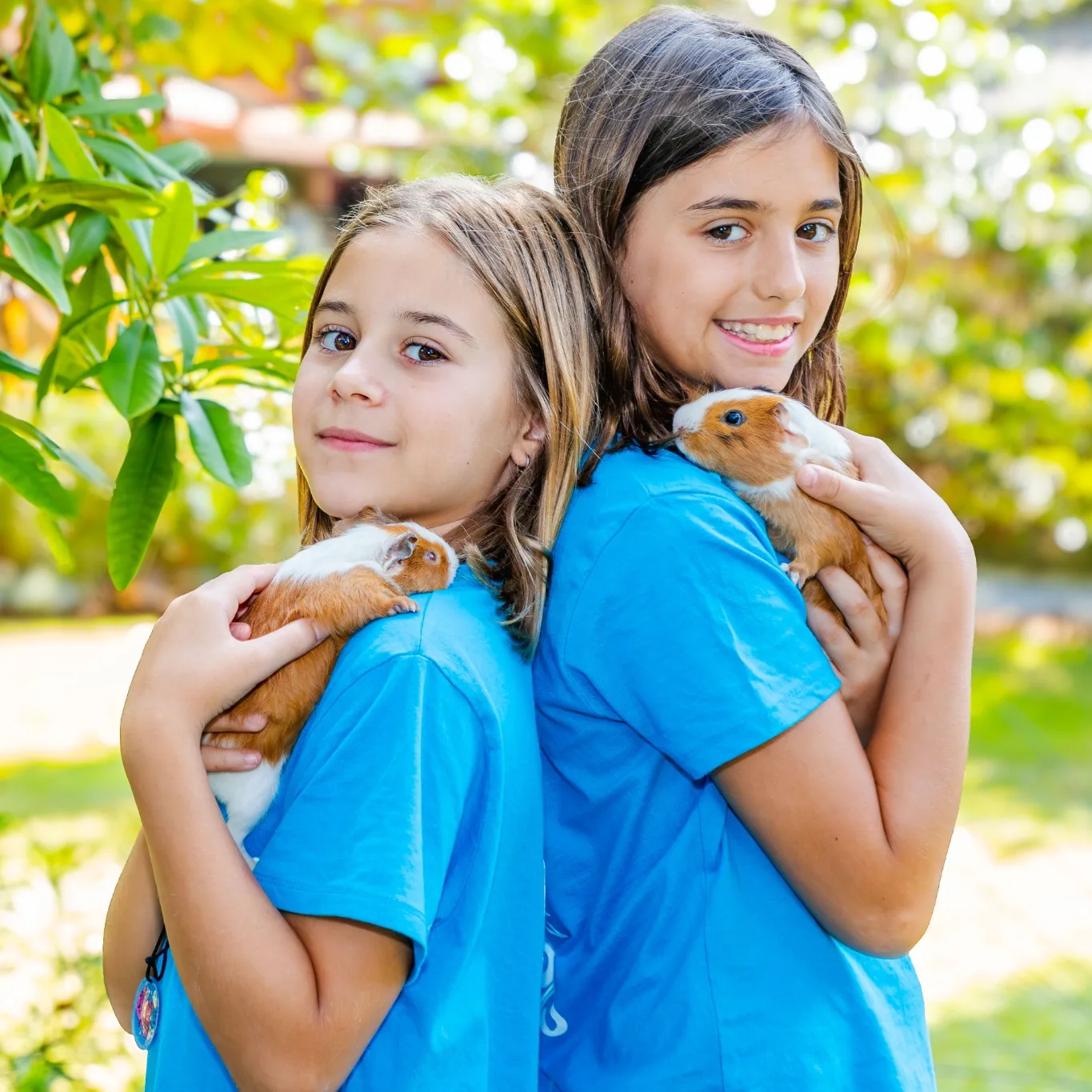 Dos niñas con camisetas azules sosteniendo cobayas en una actividad con animales.
