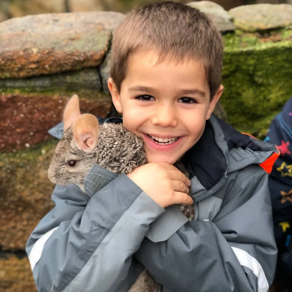 Niño sonriendo mientras sostiene una chinchilla durante una actividad con animales.