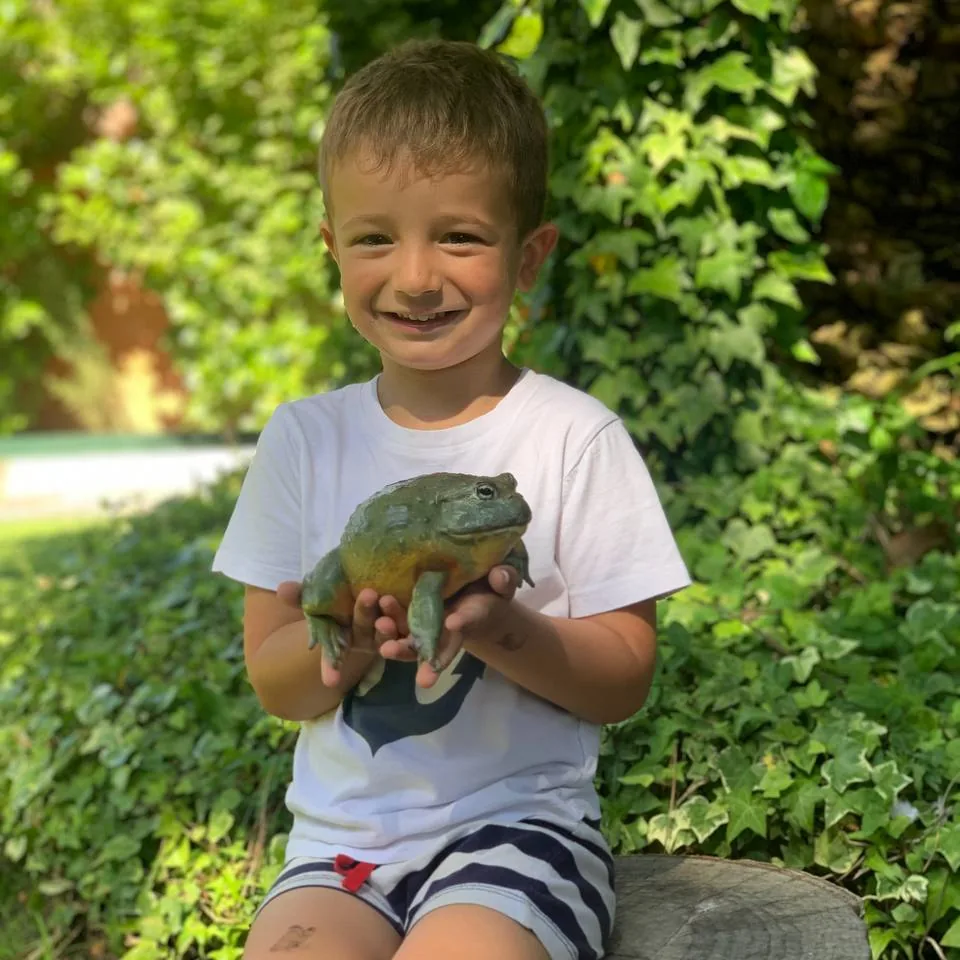 Niño sosteniendo una rana en una actividad de naturaleza en La Granja de los Cuentos.