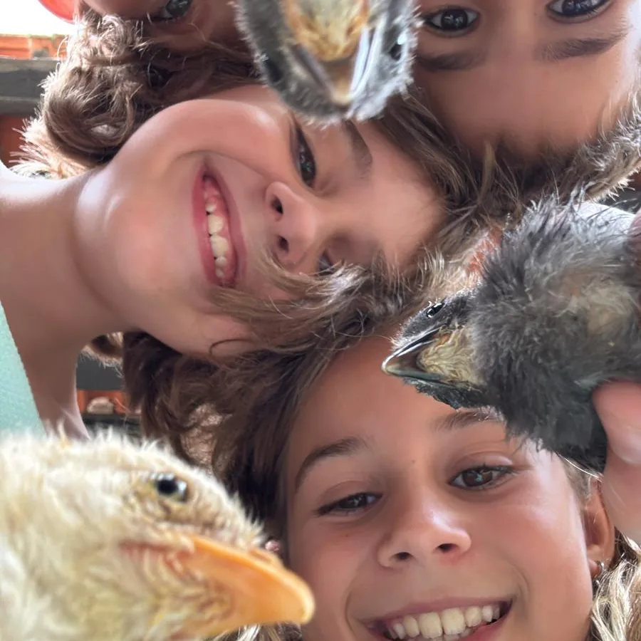 Niños realizan un experimento en un taller de ciencia en La Granja de los Cuentos