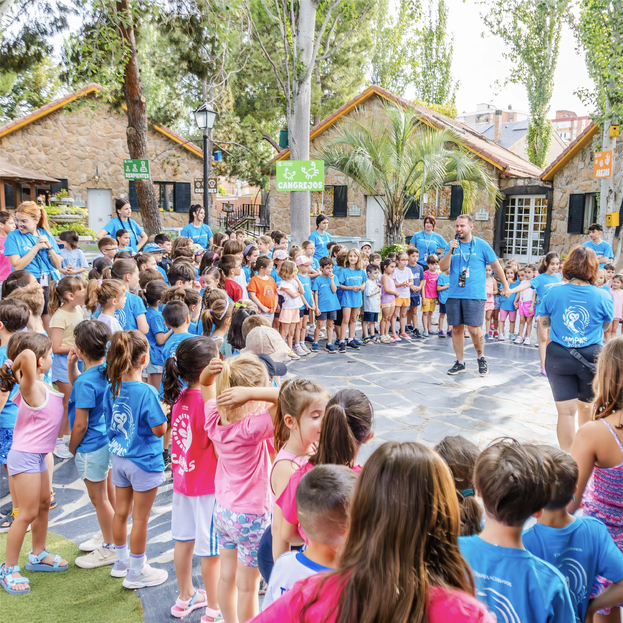 Grupo grande de niños participando en una actividad al aire libre durante los campamentos de La Granja de los Cuentos.