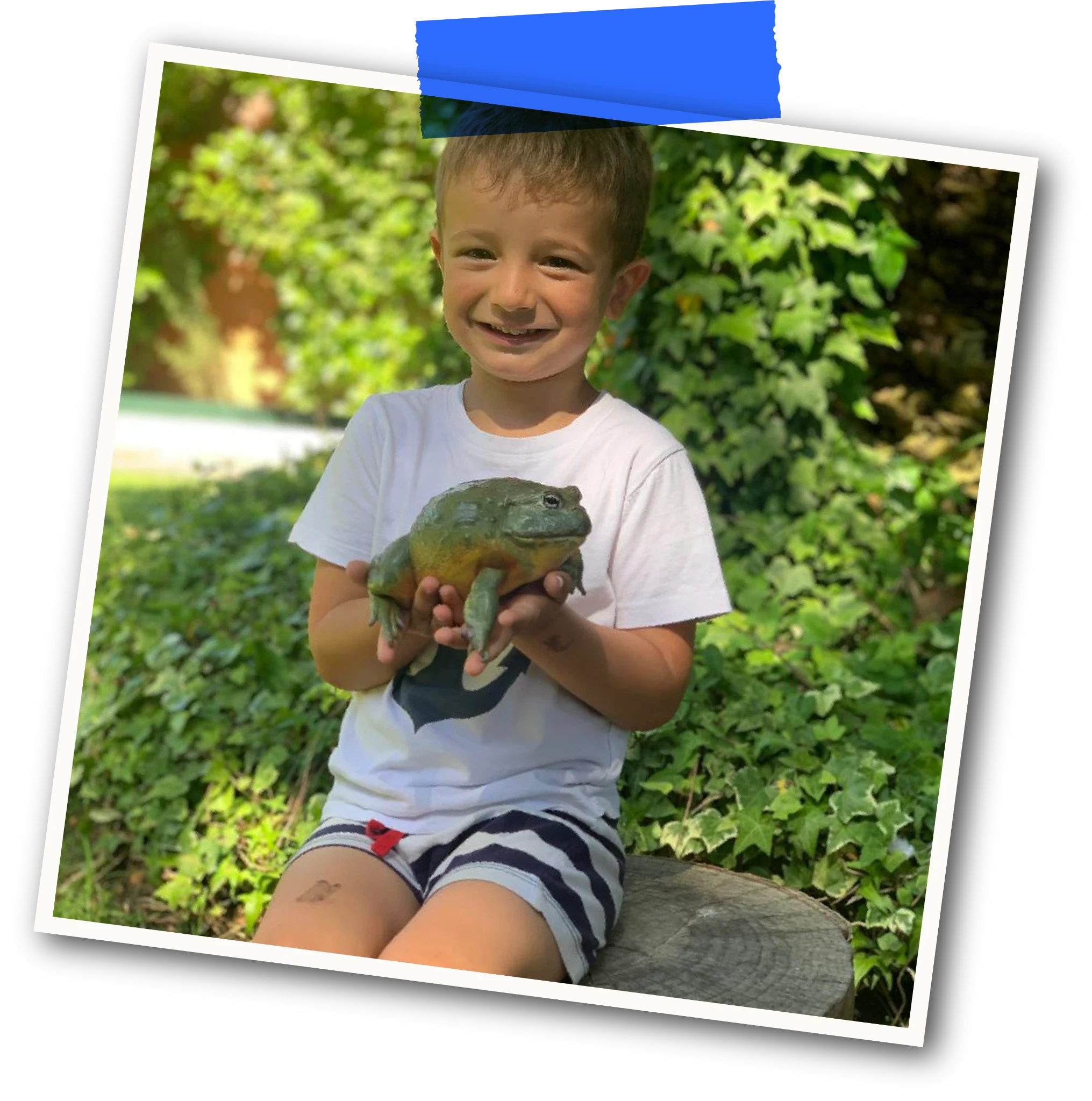 Niño sonriendo mientras sostiene una rana en una actividad de naturaleza en La Granja de los Cuentos.